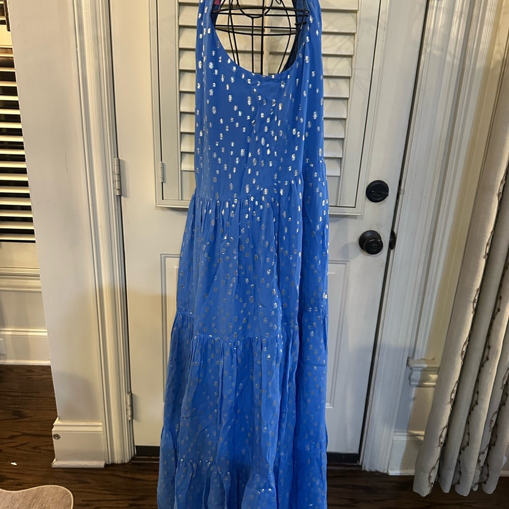 Lilly Pulitzer Blue Maxi Dress with Silver Accents - Picture 7 of 12